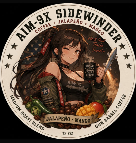 AIM-9X Sidewinder